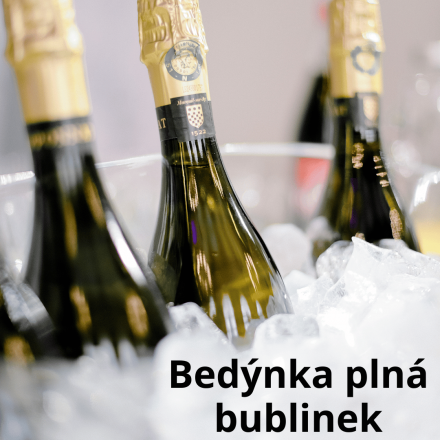 Bedýnka plná bublinek